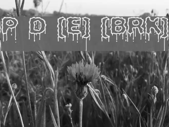 Plasma Drip [Empty] [BRK] Font examples