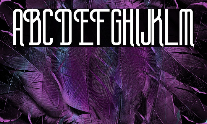 Plasma Regular Example 2