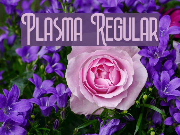 Plasma Regular Font examples