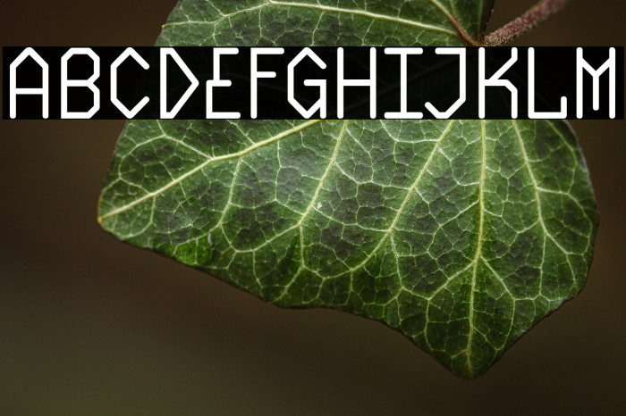 Plasmatic-Regular Example 1