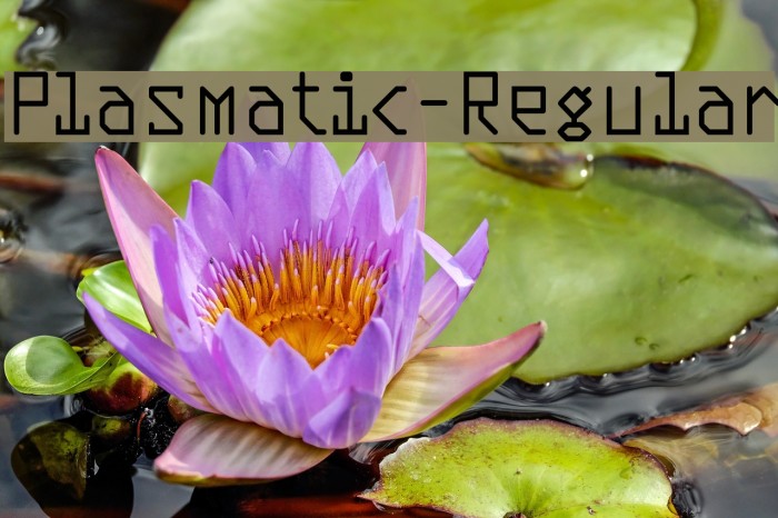 Plasmatic-Regular Example 3