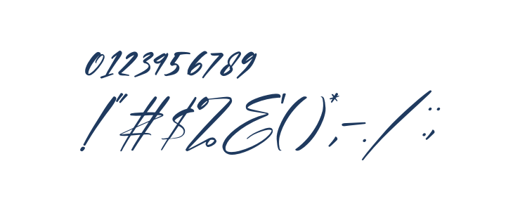 Plasmatic Signature Italic Other Characters