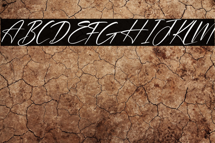 Plasmatic Signature Italic Example 1