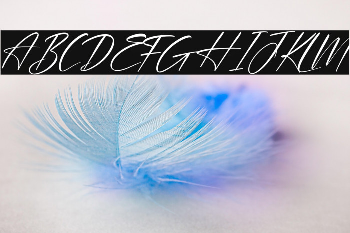 Plasmatic Signature Italic Example 2