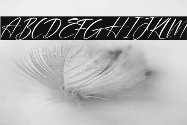 Plasmatic Signature Italic Font examples