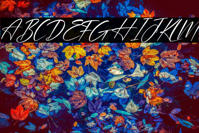 Plasmatic Signature Italic Example 3