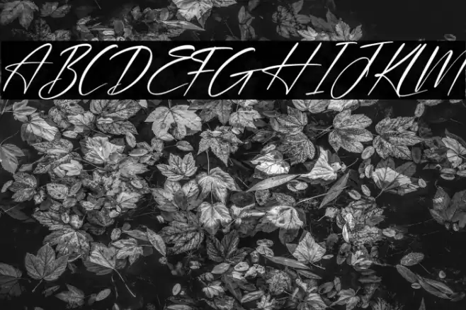 Plasmatic Signature Italic Font examples