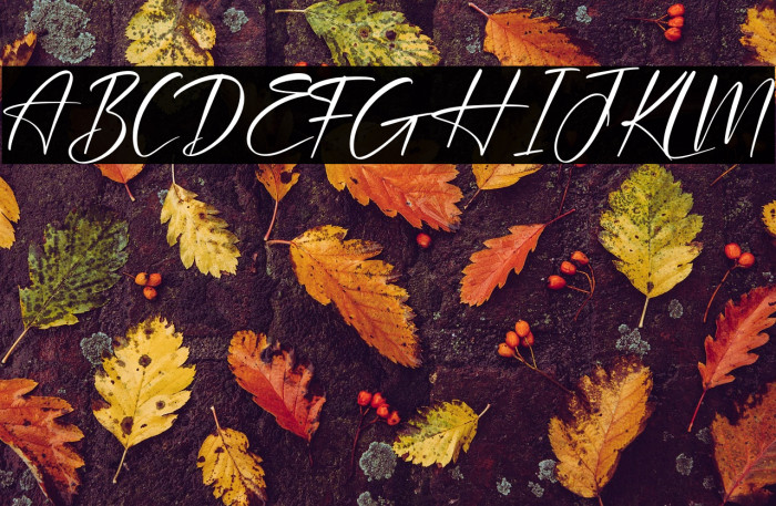 Plasmatic Signature Example 1