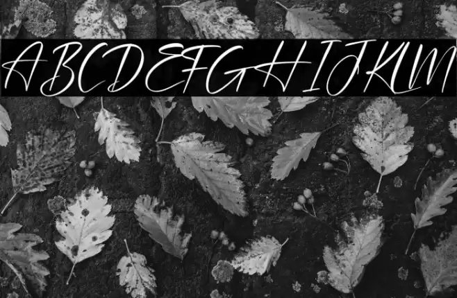 Plasmatic Signature Font examples