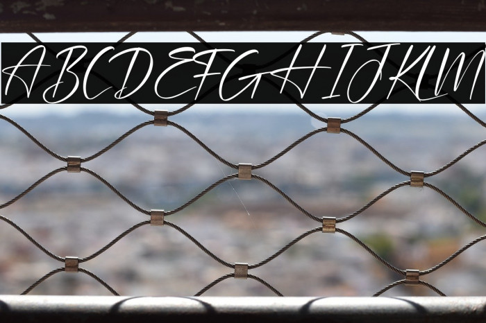 Plasmatic Signature Example 2