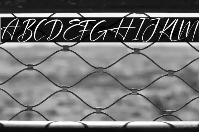 Plasmatic Signature Font examples