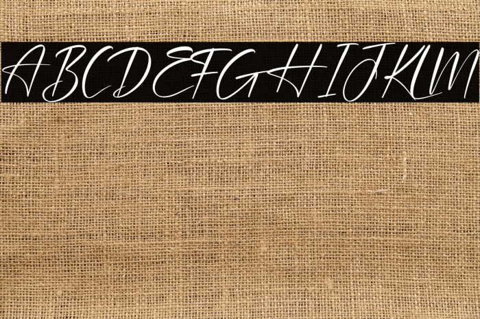 Plasmatic Signature Example 3