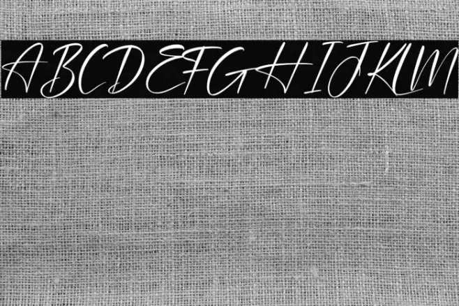 Plasmatic Signature Font examples