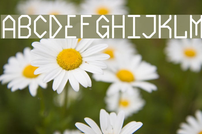 Plasmatic Font examples