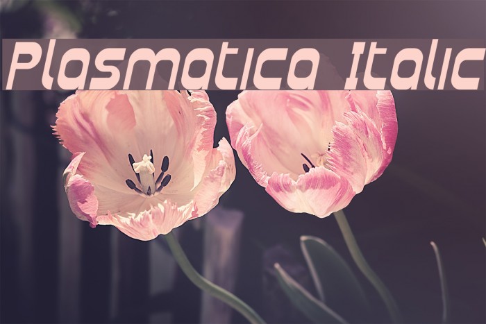 Plasmatica Italic Font examples