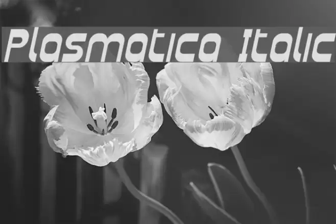 Plasmatica Italic フォント examples