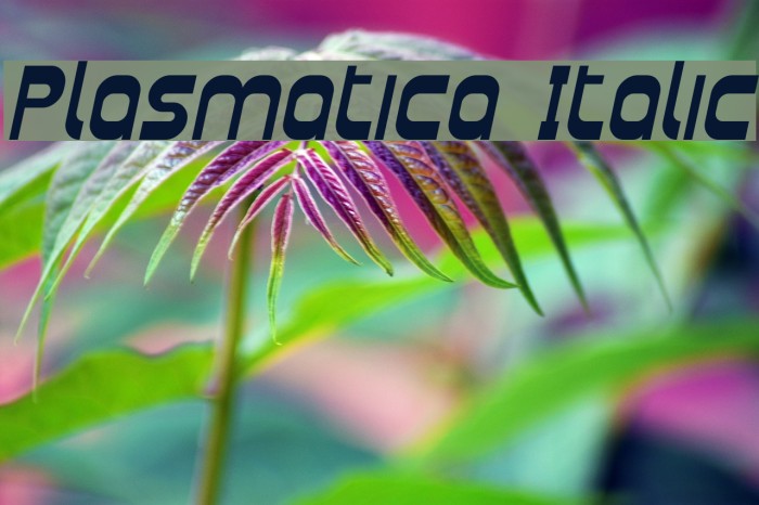 Plasmatica Italic Font examples