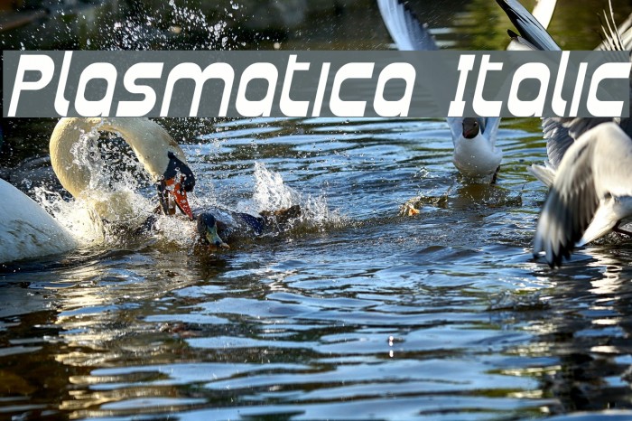 Plasmatica Italic Font examples