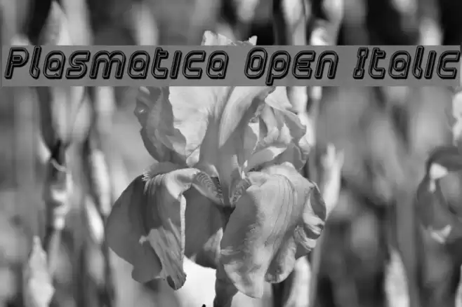 Plasmatica Open Italic Font examples
