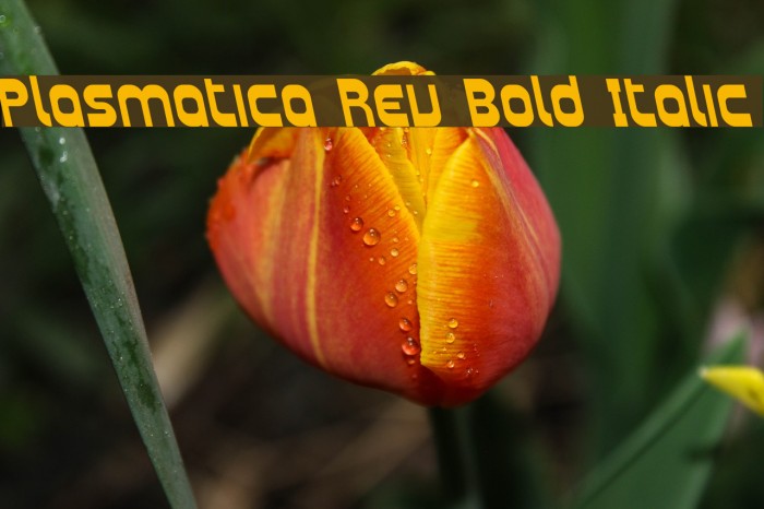 Plasmatica Rev Bold Italic Font examples