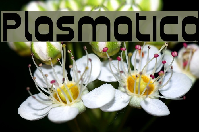 Plasmatica Font examples