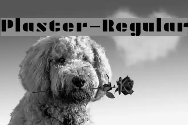 Plaster-Regular Font examples