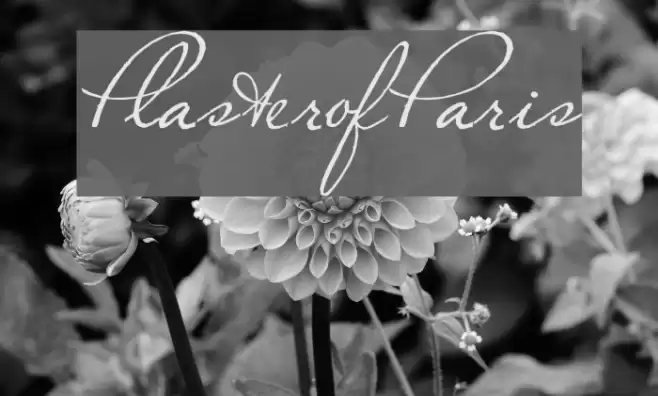 PlasterofParis Font examples