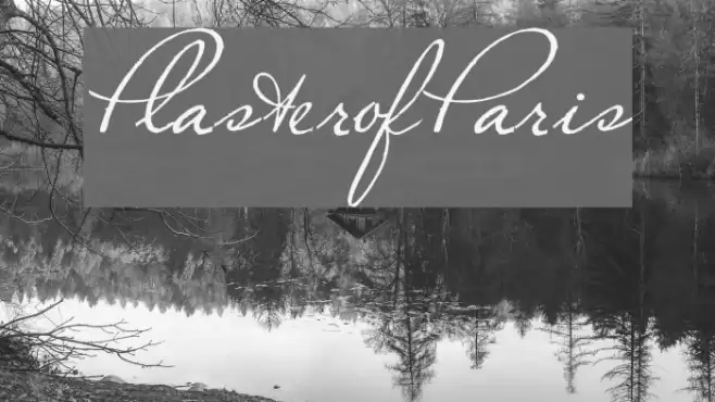 PlasterofParis Font examples