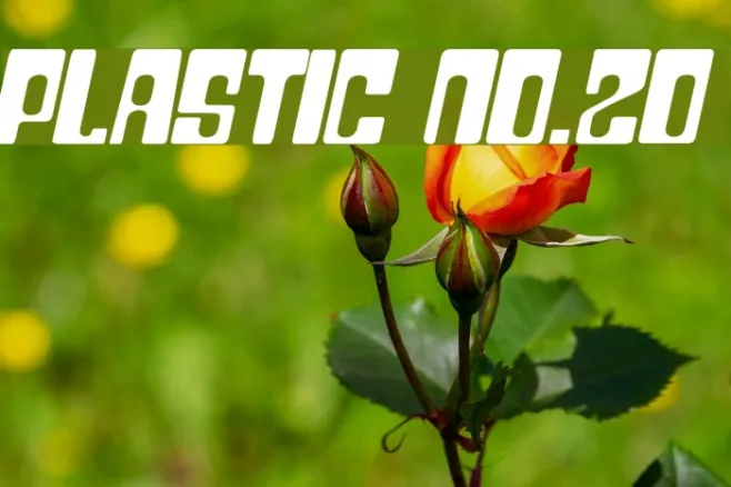 Plastic No.20 Example 1