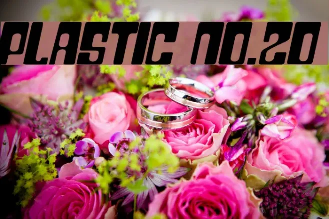 Plastic No.20 Example 2