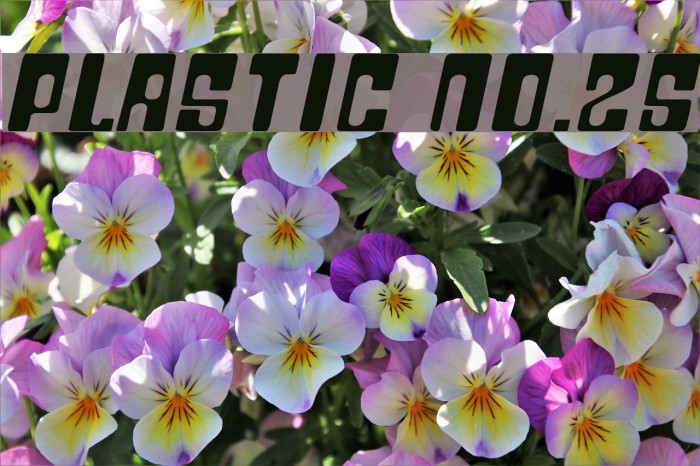 Plastic No.25 Font examples