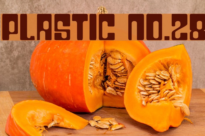 Plastic No.28 Font examples