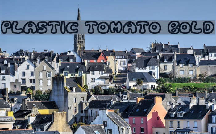 Plastic Tomato Bold Font examples