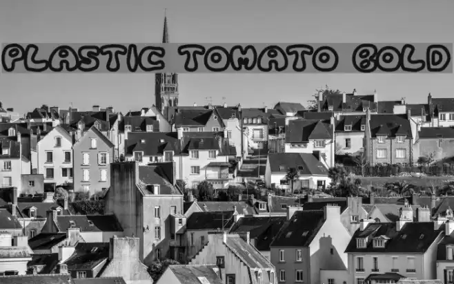 Plastic Tomato Bold フォント examples