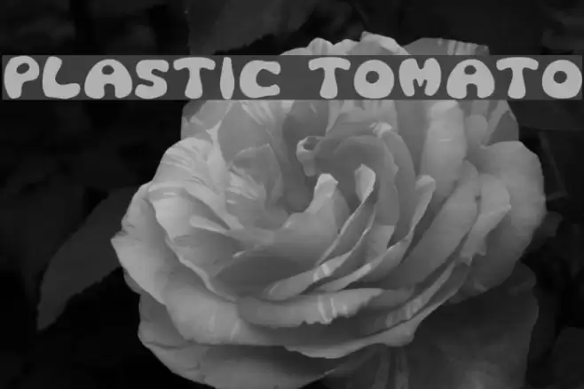 Plastic Tomato Font examples