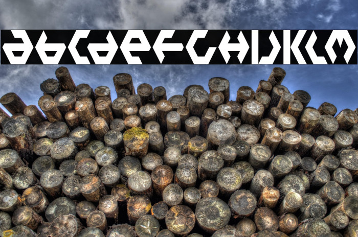 PlasticBag-Regular Example 2