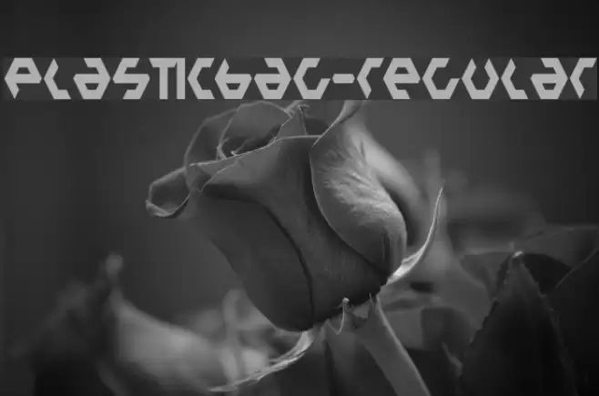 PlasticBag-Regular Font examples