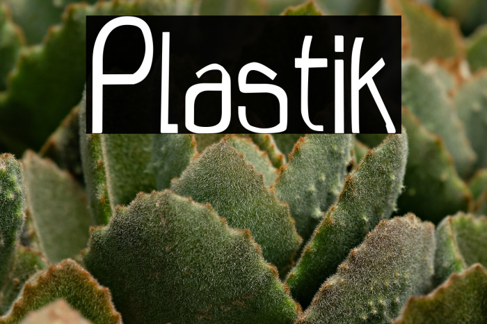 Plastik Example 2