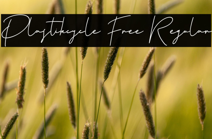 Plastikcycle Free Regular Example 1