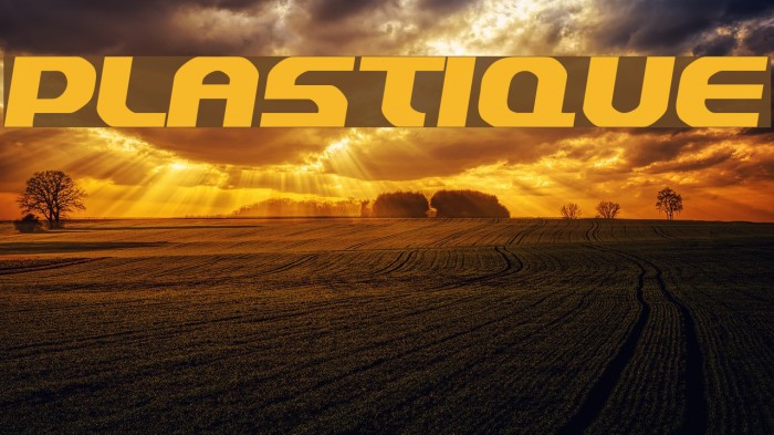 Plastique Font examples