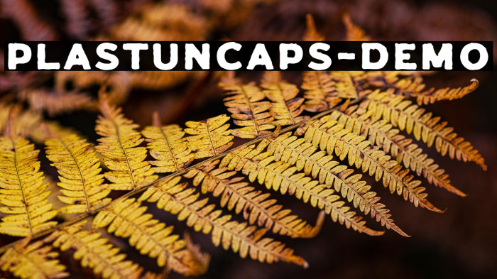 PlastunCaps-Demo Example 2