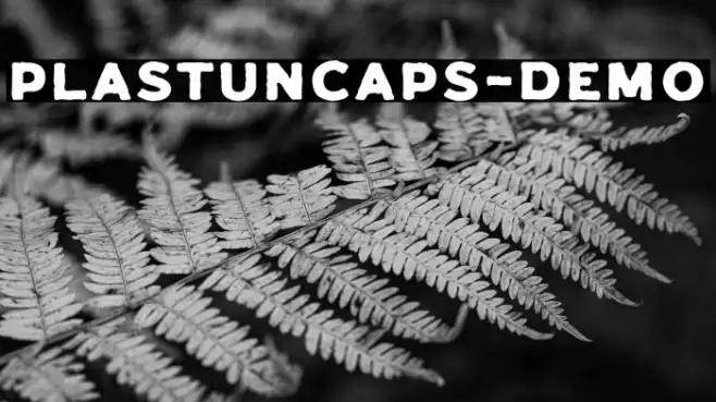 PlastunCaps-Demo Font examples