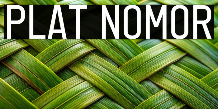 Plat Nomor Example 1