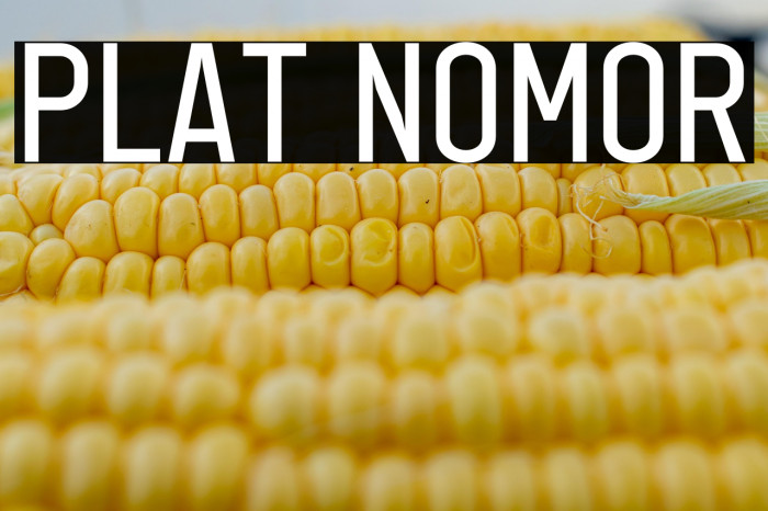 Plat Nomor Example 2