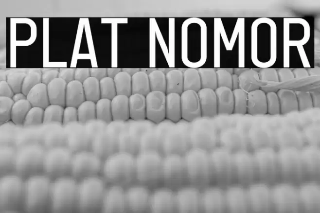 Plat Nomor Font examples