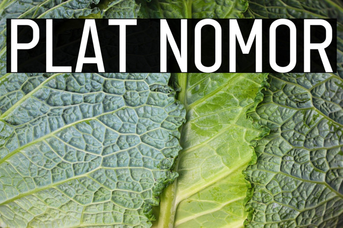 Plat Nomor Example 3