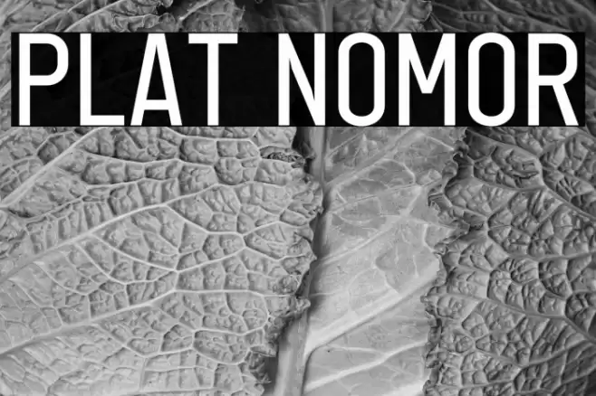 Plat Nomor Font examples