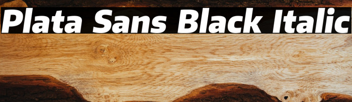 Plata Sans Black Italic Example 1