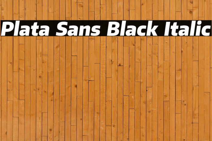 Plata Sans Black Italic Example 2