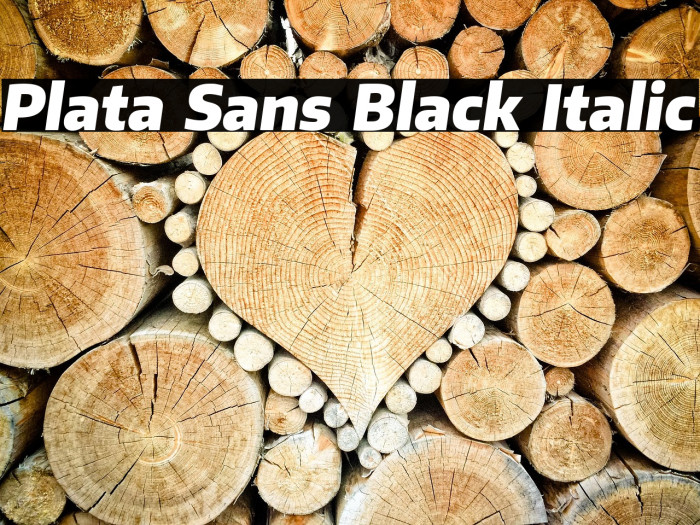 Plata Sans Black Italic Example 3